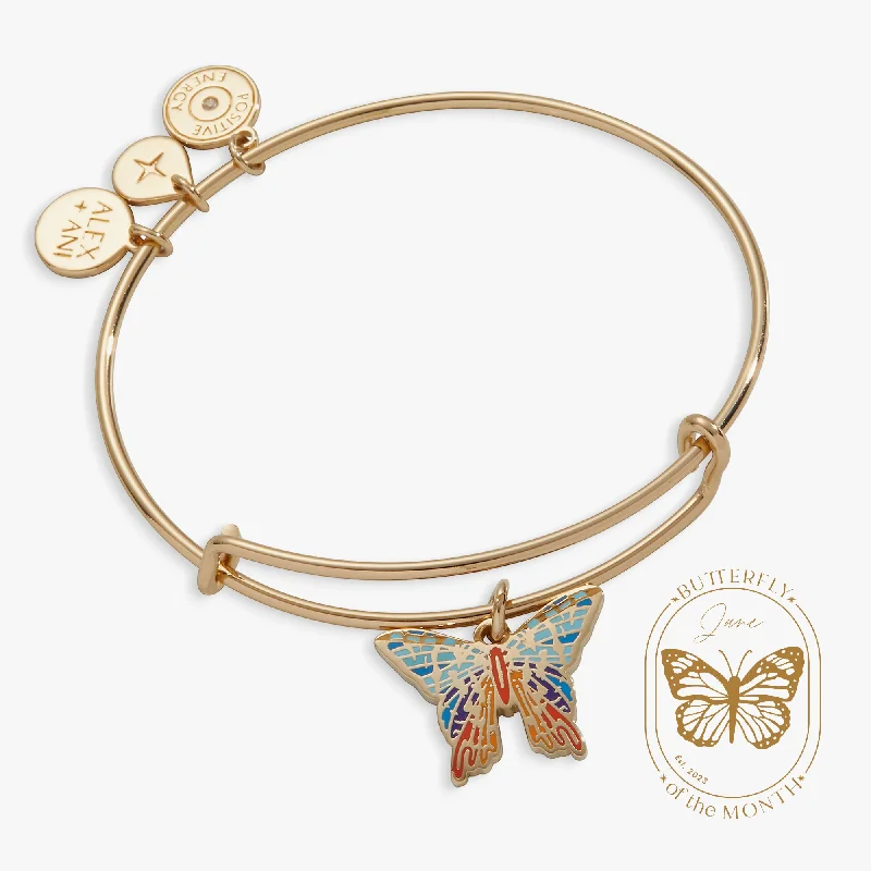 Jewelry Clearance Sale – Final Reductions Chrysiridia Rhipheus Butterfly Charm Bangle