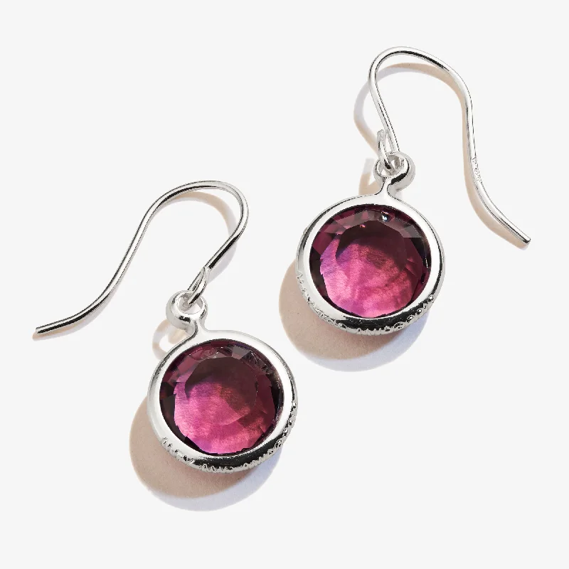 Discover Unique Jewelry With Special Limited-Time Offers Amethyst Birthstone Earrings, February